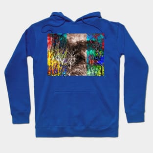 Forest in Color Hoodie